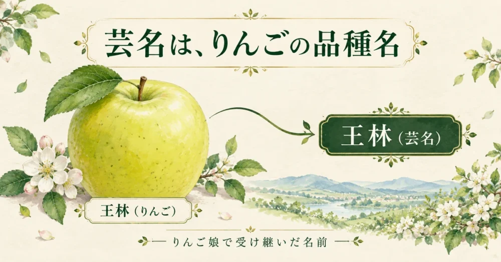 黄緑色のりんご王林と芸名につながる図解