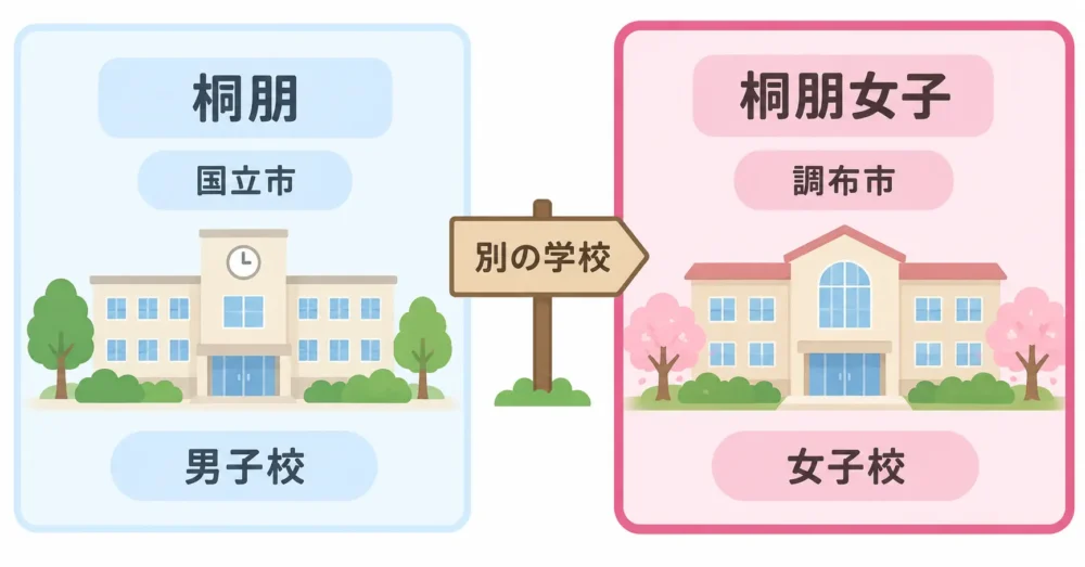 桐朋の男子校と女子校の違いを示す図