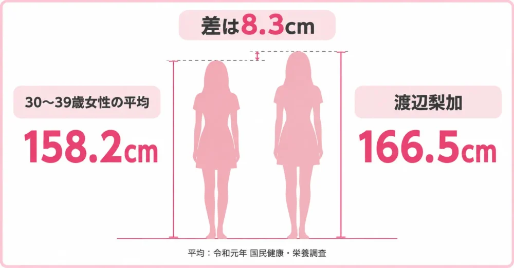 渡辺梨加の身長と30代女性平均の比較図