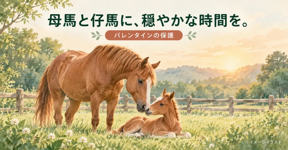 穏やかな草原で母馬に寄り添う仔馬のイラスト