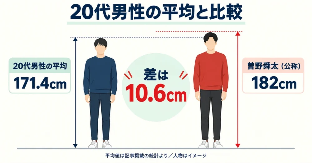 曽野舜太の身長と20代男性の平均身長の比較図